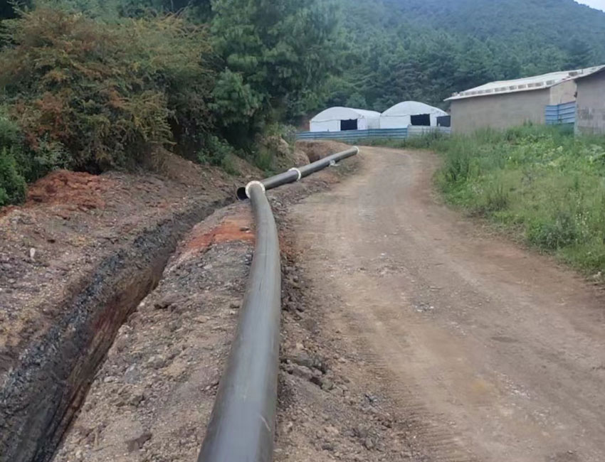 ˮ������