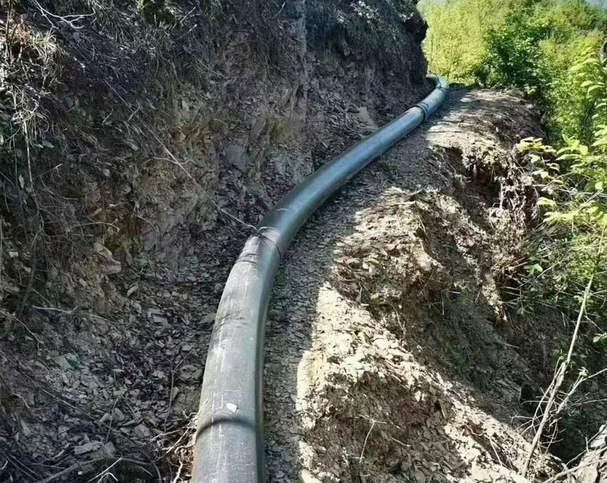 �V�I(y��)����